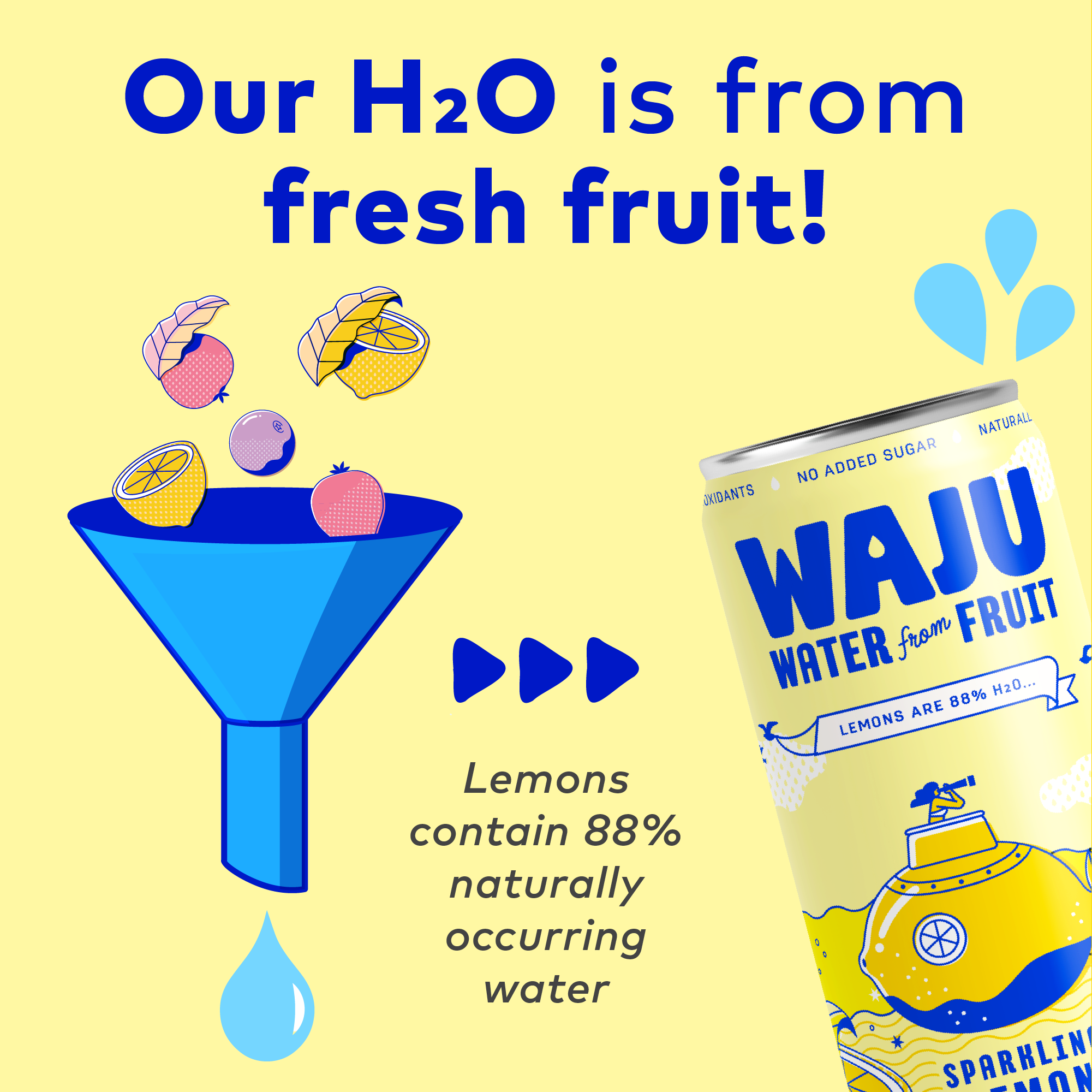 WAJU Water - Wholesale Sparkling Water - Lemon Water from Fruit | Sparkling Water | Antioxidants2