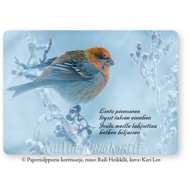 Tavio, Rail'S Poëziekaart (kerstkaart A6), 10 stuks voor wholesale door Paperisilppuri