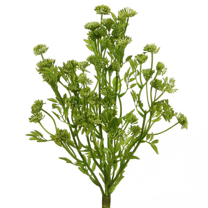 Dill bush 40 cm green cream for wholesale by Floratexx
