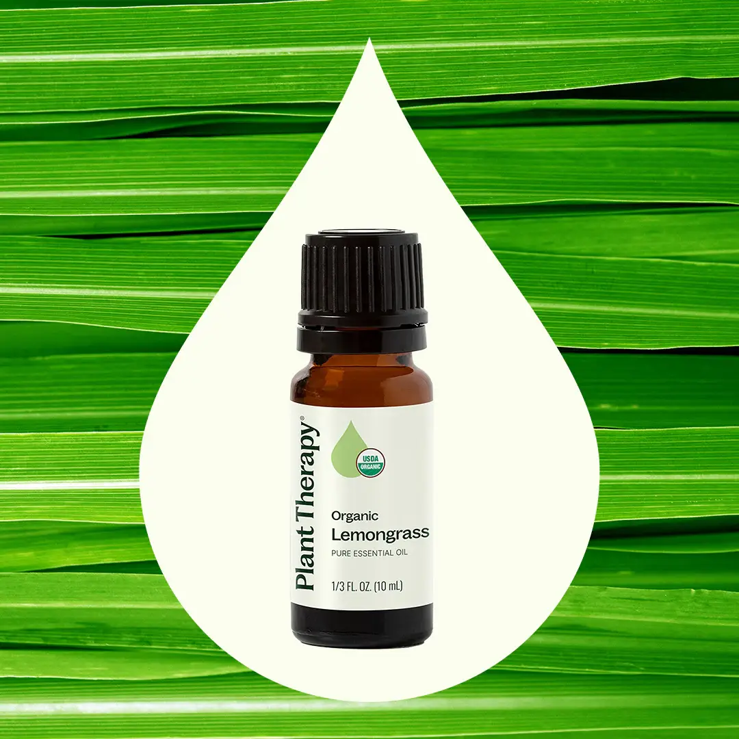 Plant Therapy - Wholesale Essential Oil - Organic Lemongrass Essential Oil 10 mL1