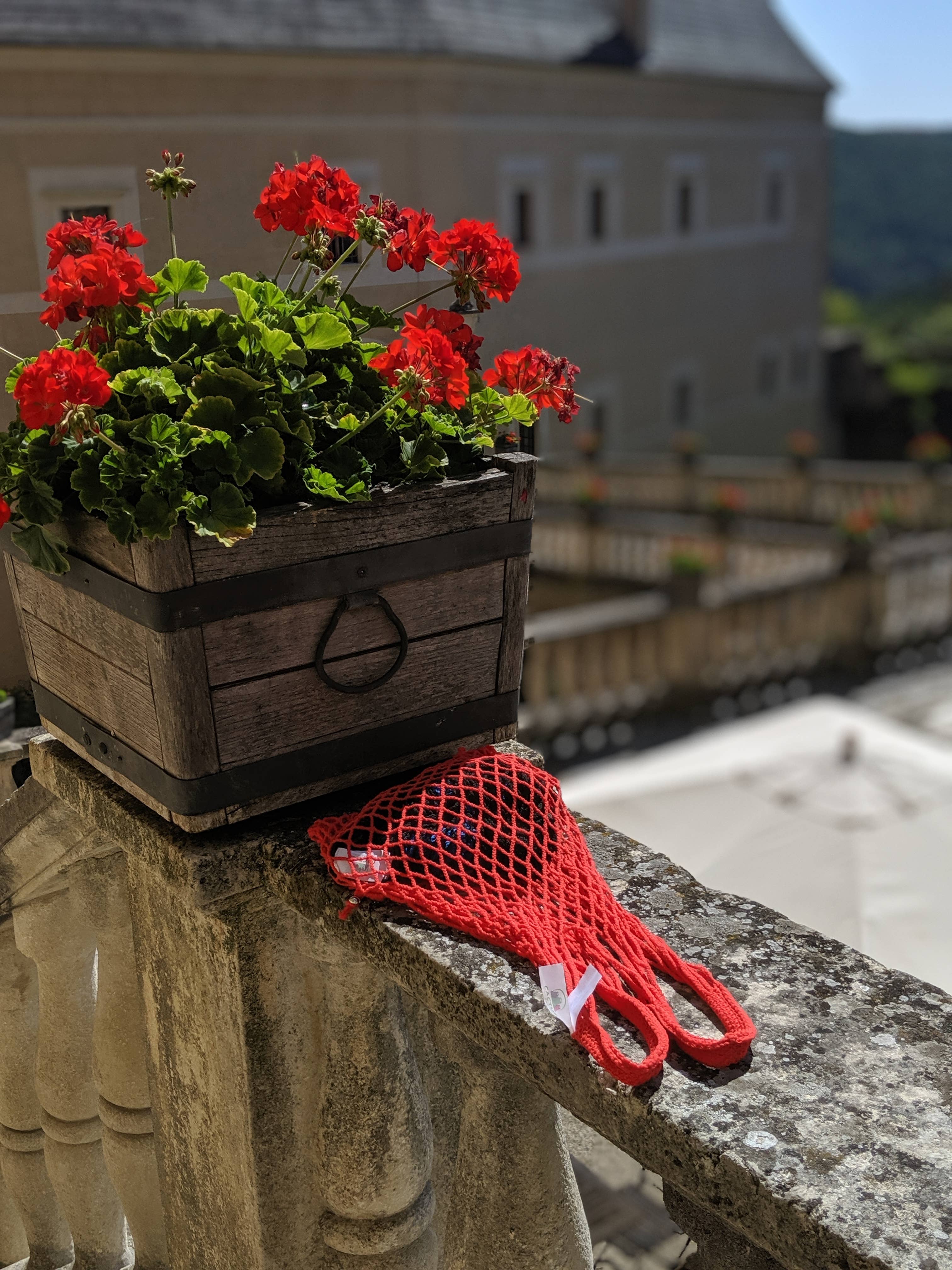 Cactus Bag - Wholesale Grocery/Shopping Bag - Red Arizona Bag2