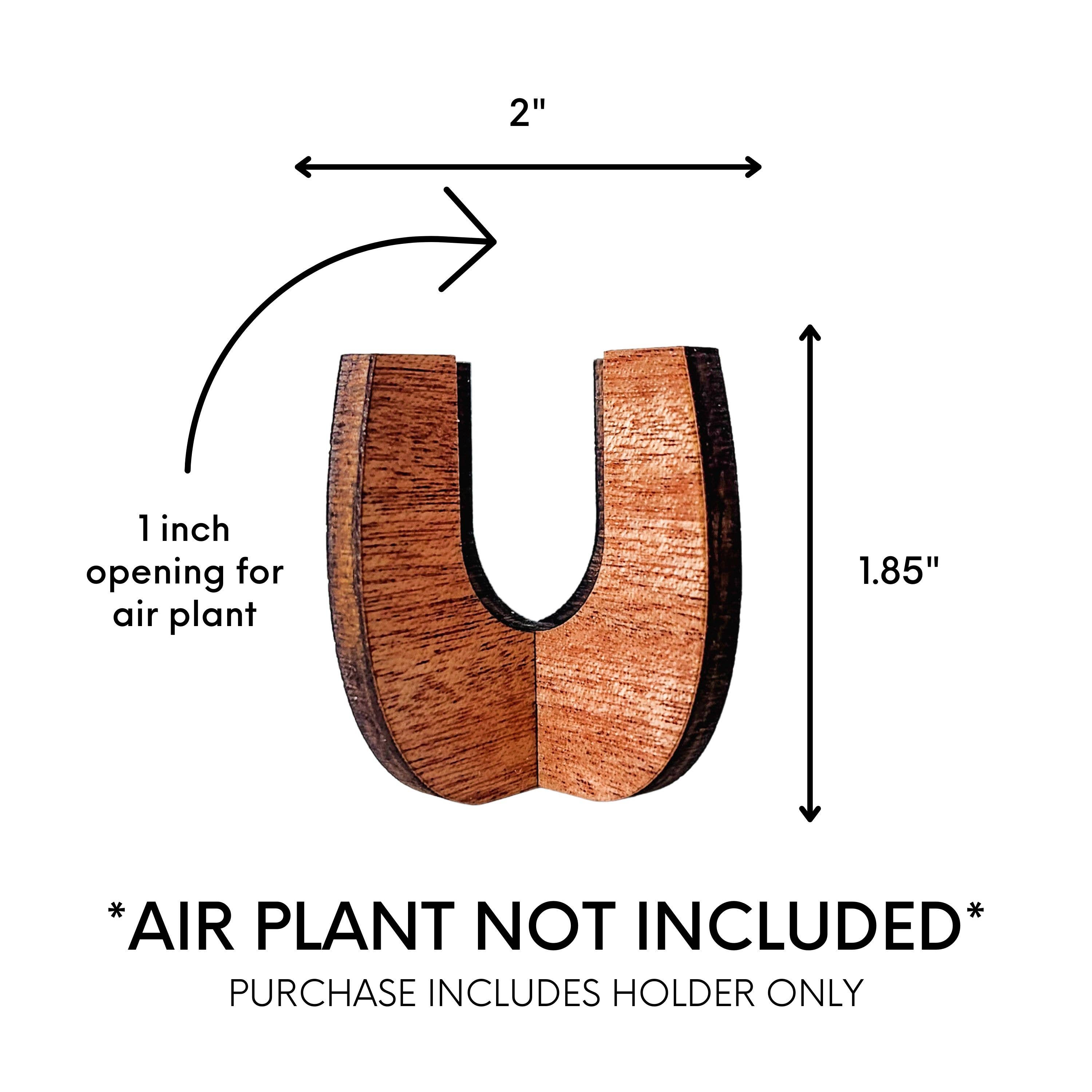Leaf & Node - Wholesale Plant Pot - Air Plant Stand - Wooden Holder Display (Curved Sides)3