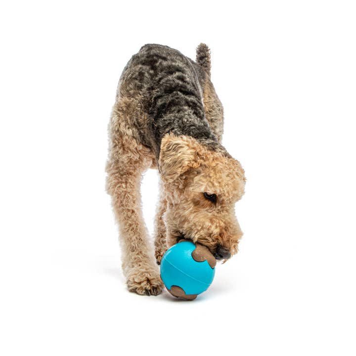 Pet Palette Distribution - Wholesale Pet Chew Toy - Dog - GURU Pet Company Busy Ball Dog Fetch Toy Medium3