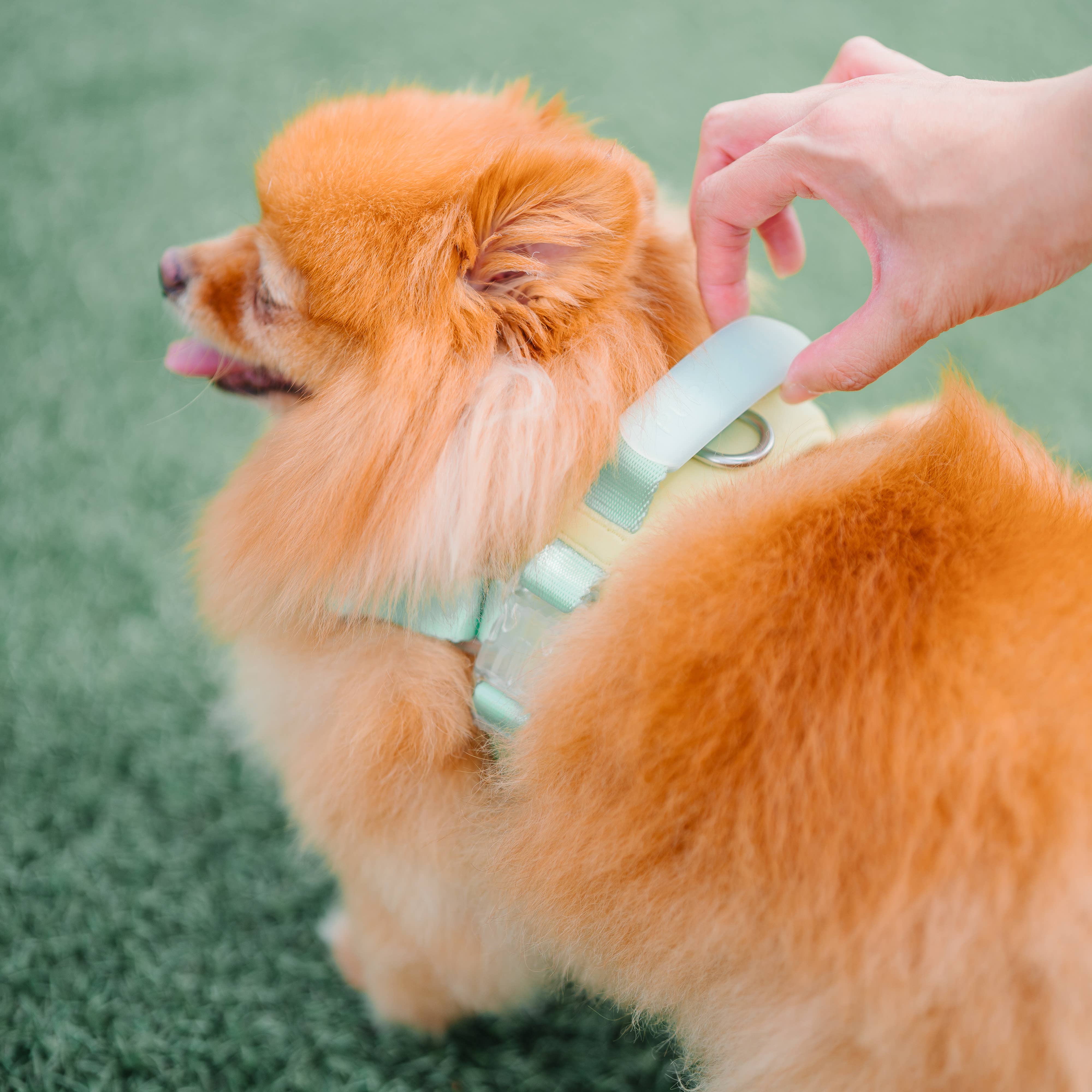 Pups & Bubs – Arnês – Cão por atacado – Jelly Harness (Creme Soda) | Tecido Ultra Comfort Único6