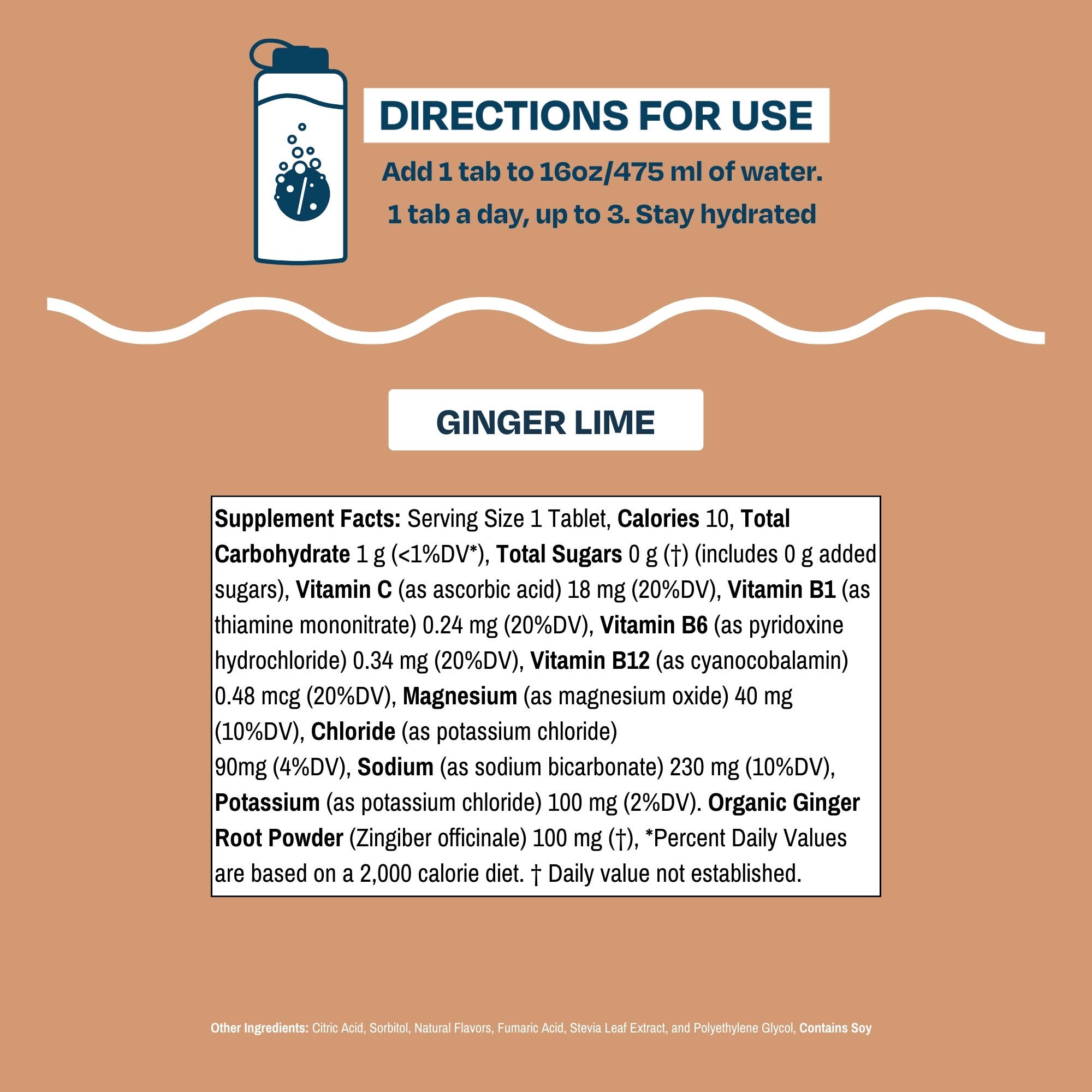 Drinklits Hydration - Wholesale Oral Supplement/Vitamin - Hydration Tablets: Natural GINGER-LIME Electrolyte Tablets5