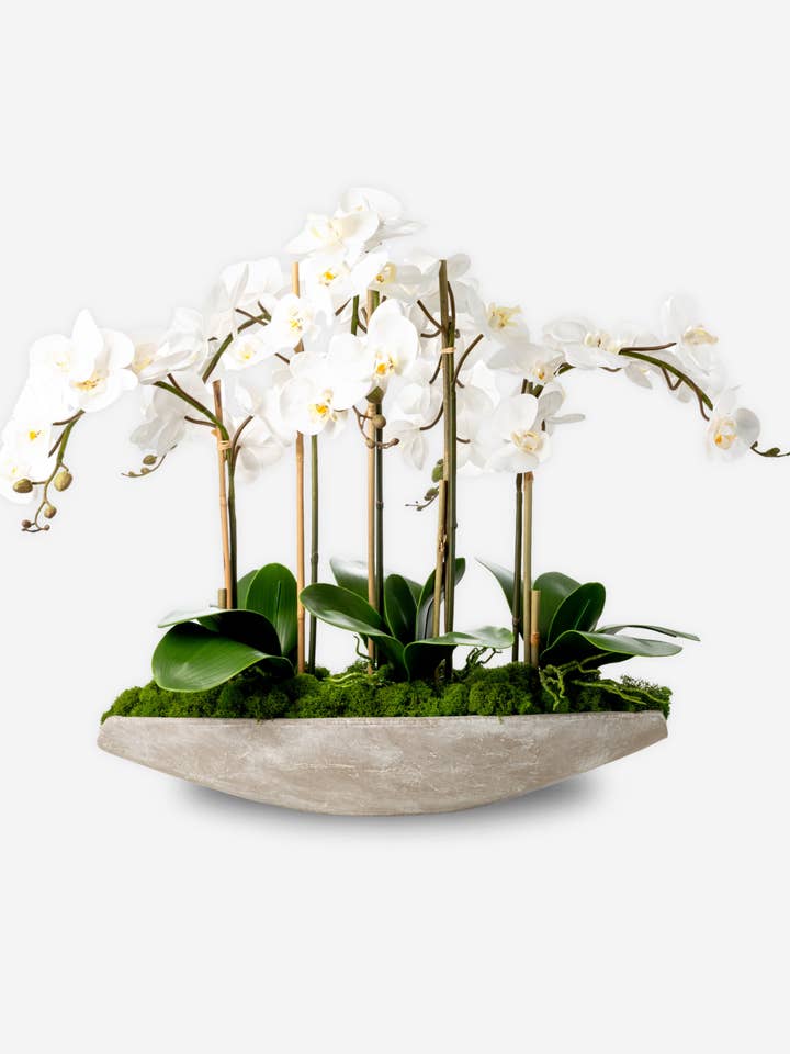 Elsa RealTouch Orchid Planter for wholesale by CocoBella