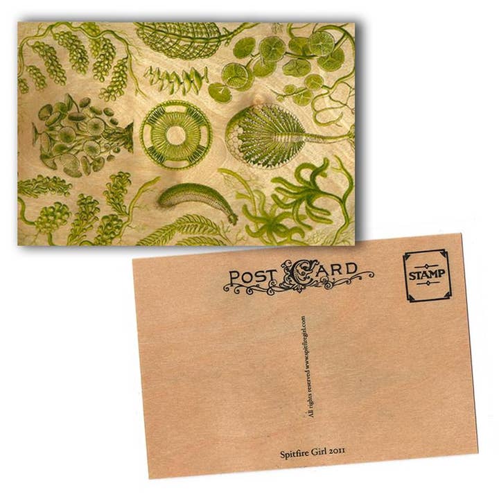 Wood Postcard - Green Sea for wholesale by Spitfire Girl