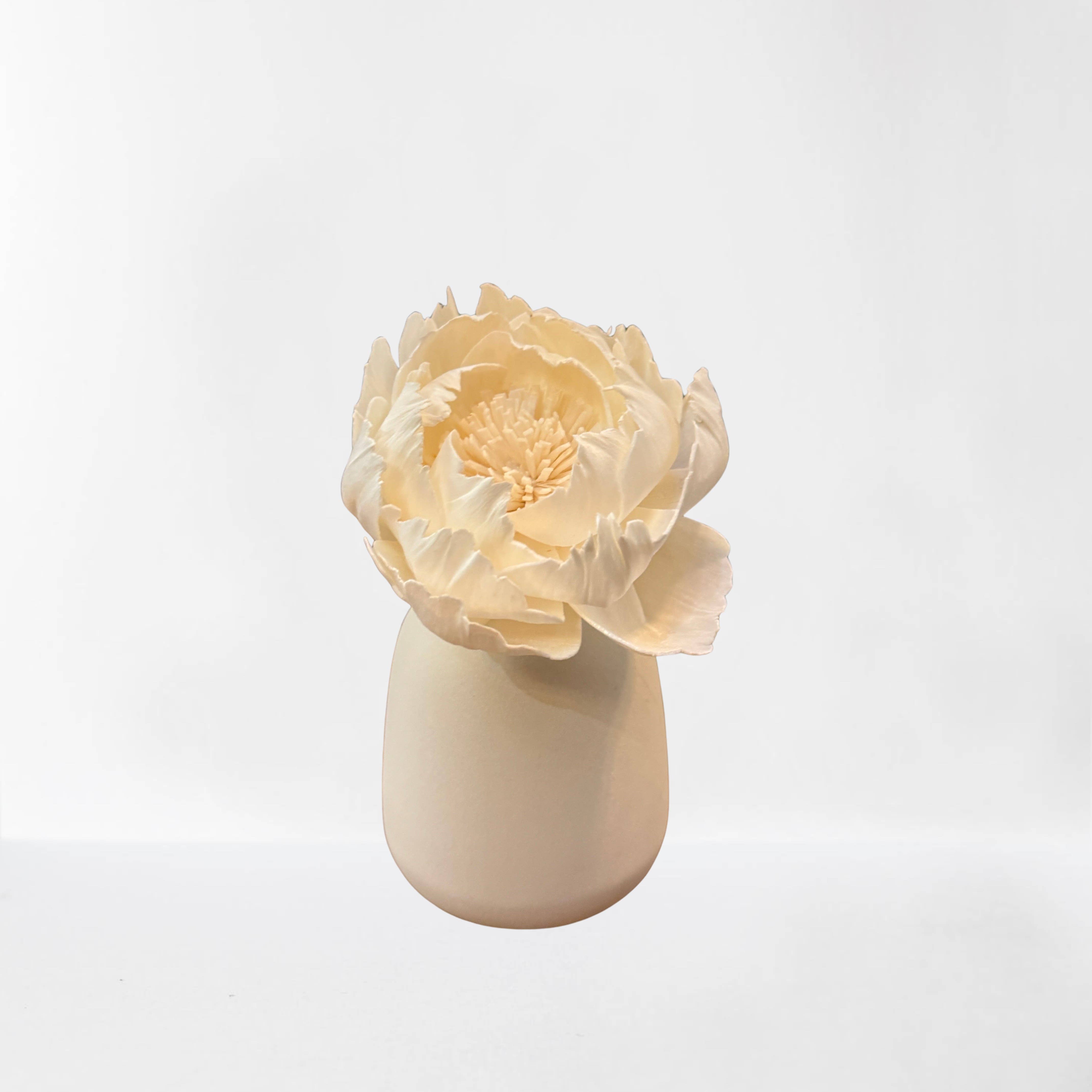 Anoq - Wholesale Reed Diffuser - Ceramic fragrance diffuser - Vase diffuser CORALI Cream3