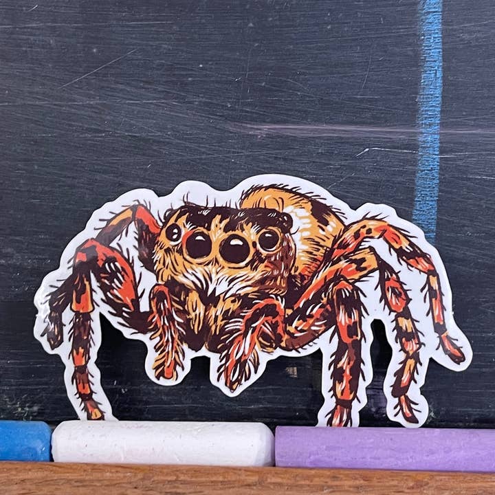 Baileys General - Wholesale Sticker - Jumping Spider Sticker3