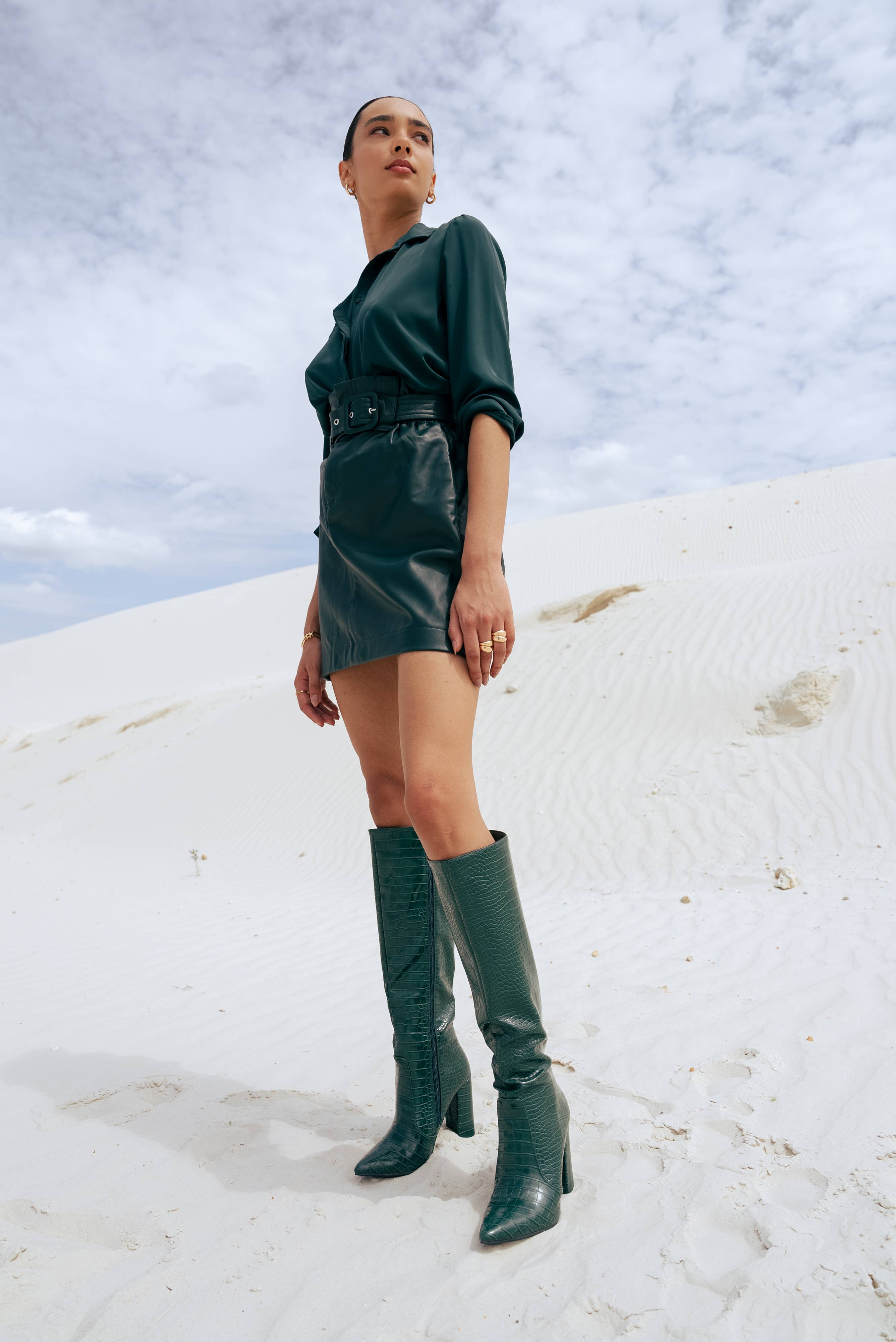 Stephan Paris - Wholesale Boots - Women's - C-132b crocodile pattern pointed boots18