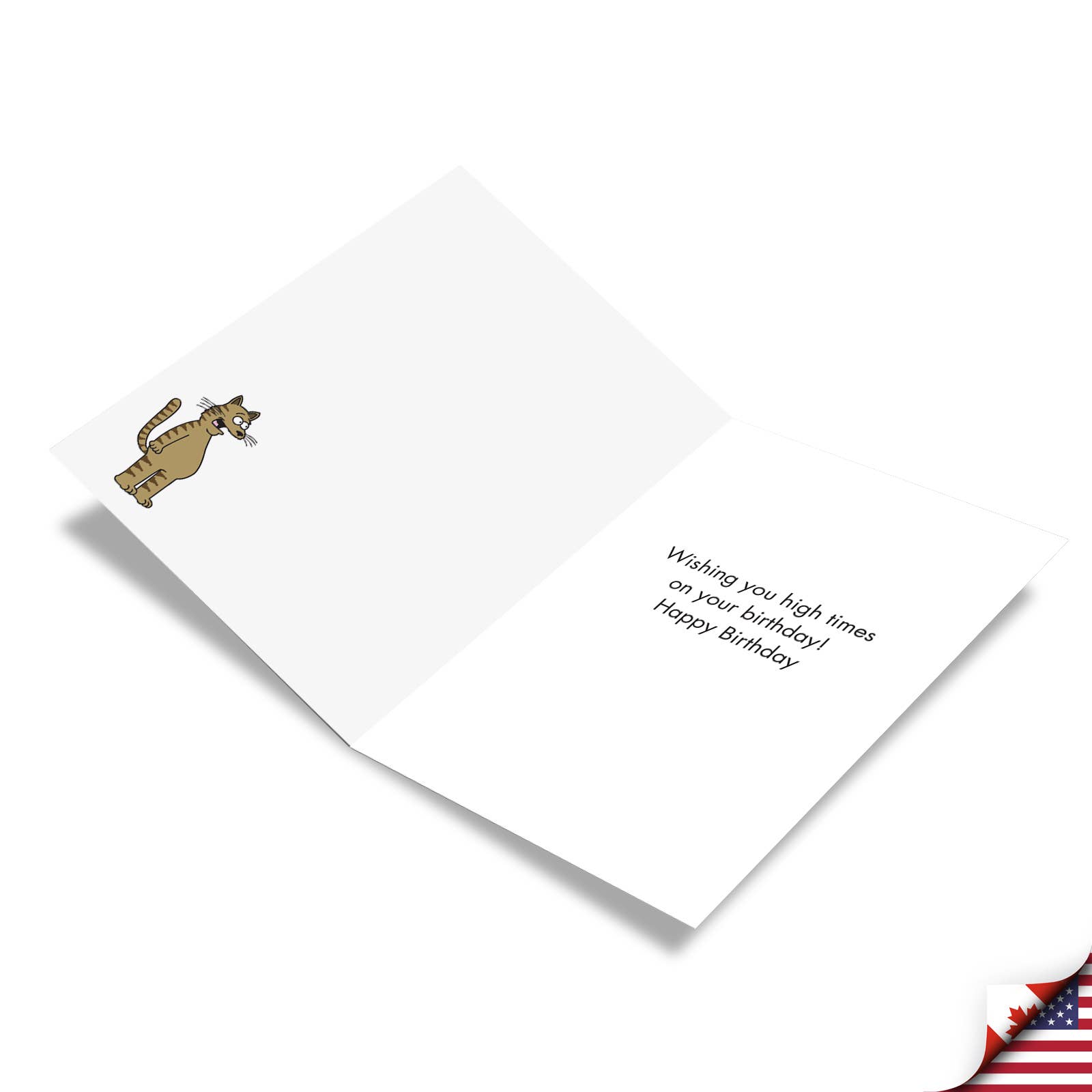 NobleWorks - Wholesale Birthday Card - Birthday Card - Catnip Dispensary1