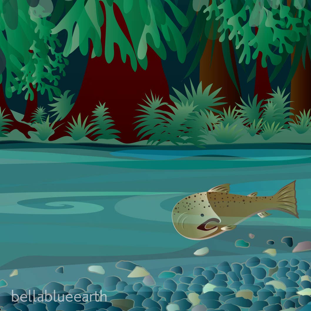 Bella Blue Designs - Wholesale Art Print - Poster Art Print - Salmon Magic, 12x18"1