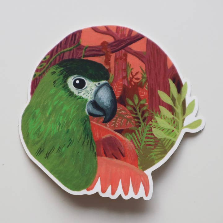 Perroquet d'Amazonie pour la vente par Newspaper Balloon