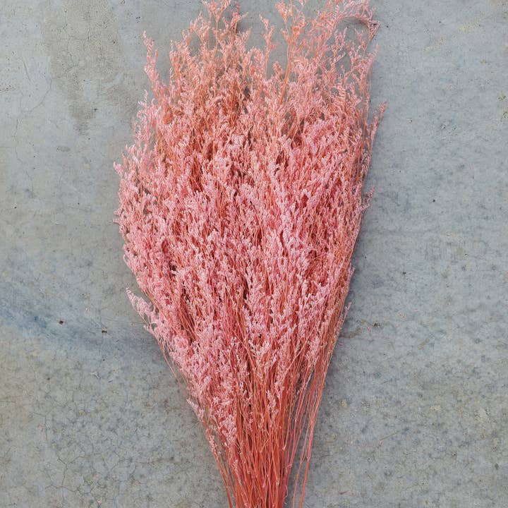 Preserved Limonium Caspia Flowers - Pink (022) for wholesale by BLOOMINGFUL.COM