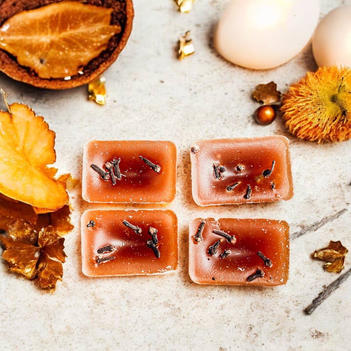 Gia Roma - Wholesale Wax Melt - Fall Wax Melts Unique XL Seasonal Scented Home Fragrances2