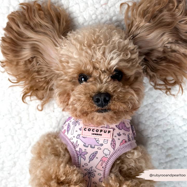Princess Dino Adjustable Neck HARNESS for wholesale by Cocopup London