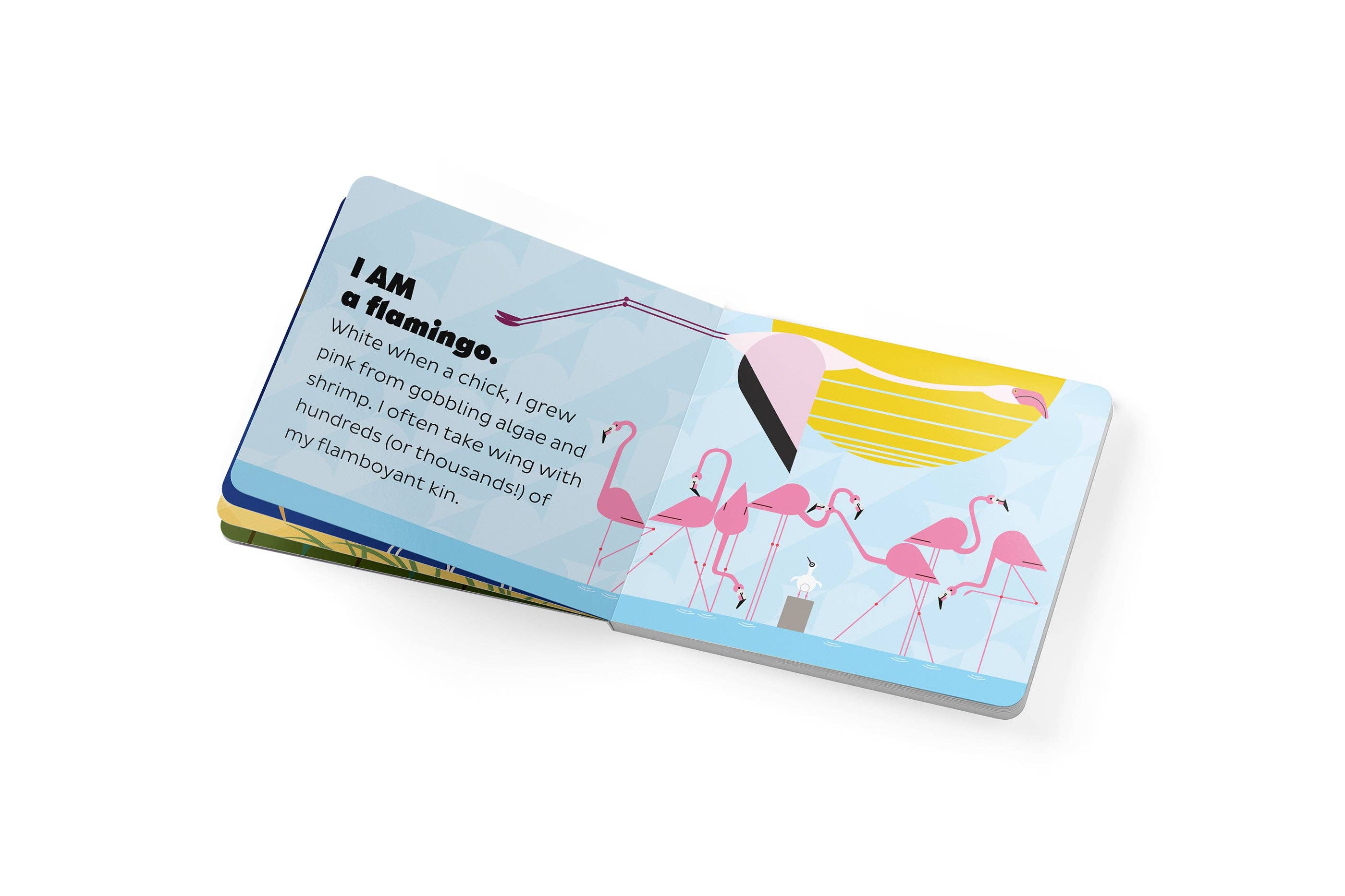 Pomegranate - Wholesale Baby & Toddler Book (0-2) - Charley Harper’s I Am Wild in the Sky Board Book3