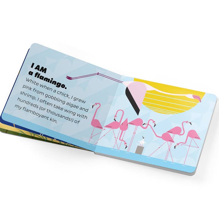 Pomegranate - Wholesale Baby & Toddler Book (0-2) - Charley Harper’s I Am Wild in the Sky Board Book3