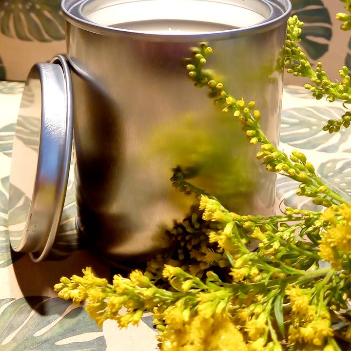 Fred & Lily Home Fragrance & Cosmetics – wholesale Jar/filled candle – Paint Pot Style Scented Candle - White/Private Label 250g