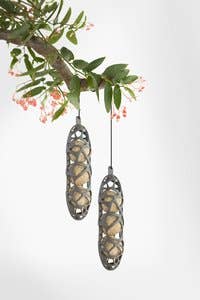 SingingFriend – Alimentador de pássaros por atacado – Comedouro para pássaros Sam em plástico reciclado com caixa de presente e alimento2