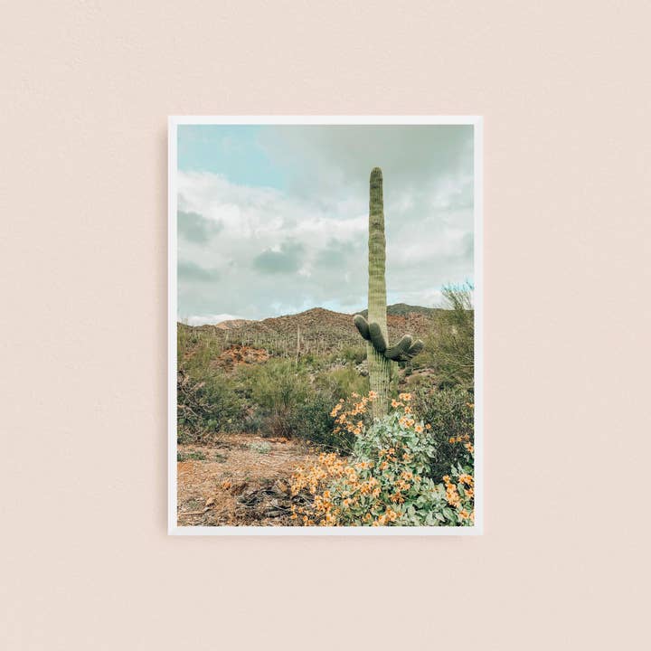 Saguaro for wholesale by Warwood Made