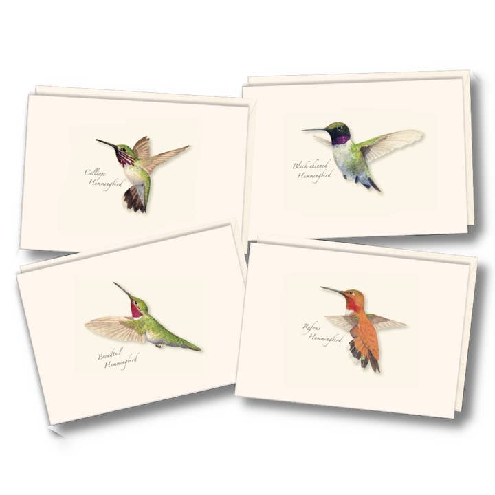 Earth Sky + Water - Wholesale Stationery/Notecard Set - Western Hummingbird Assortment