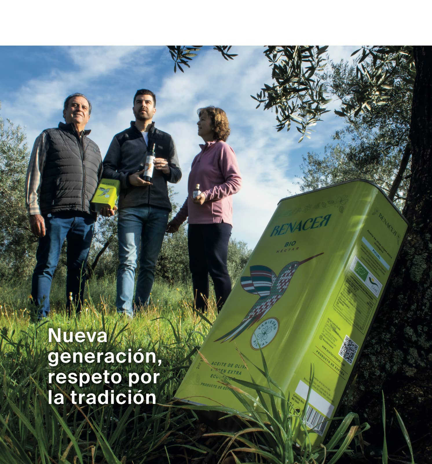 ACEITES RENACER - Wholesale Olive Oil - Organic Extra Virgin Olive Oil Can 3 Liters3