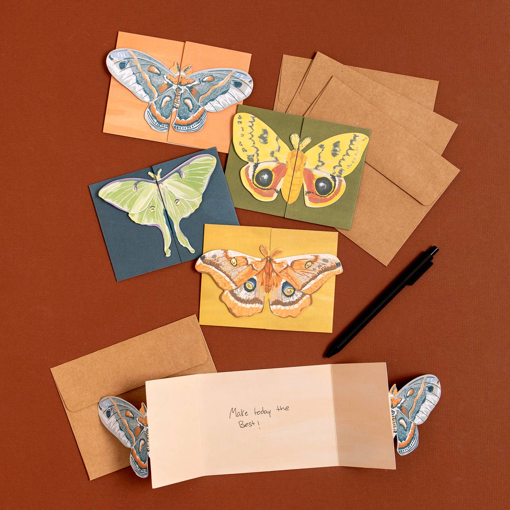 1canoe2 | One Canoe Two Paper Co. - Wholesale Stationery/Notecard Set - Luna Moths Fold-Out Greeting Card Box Set1