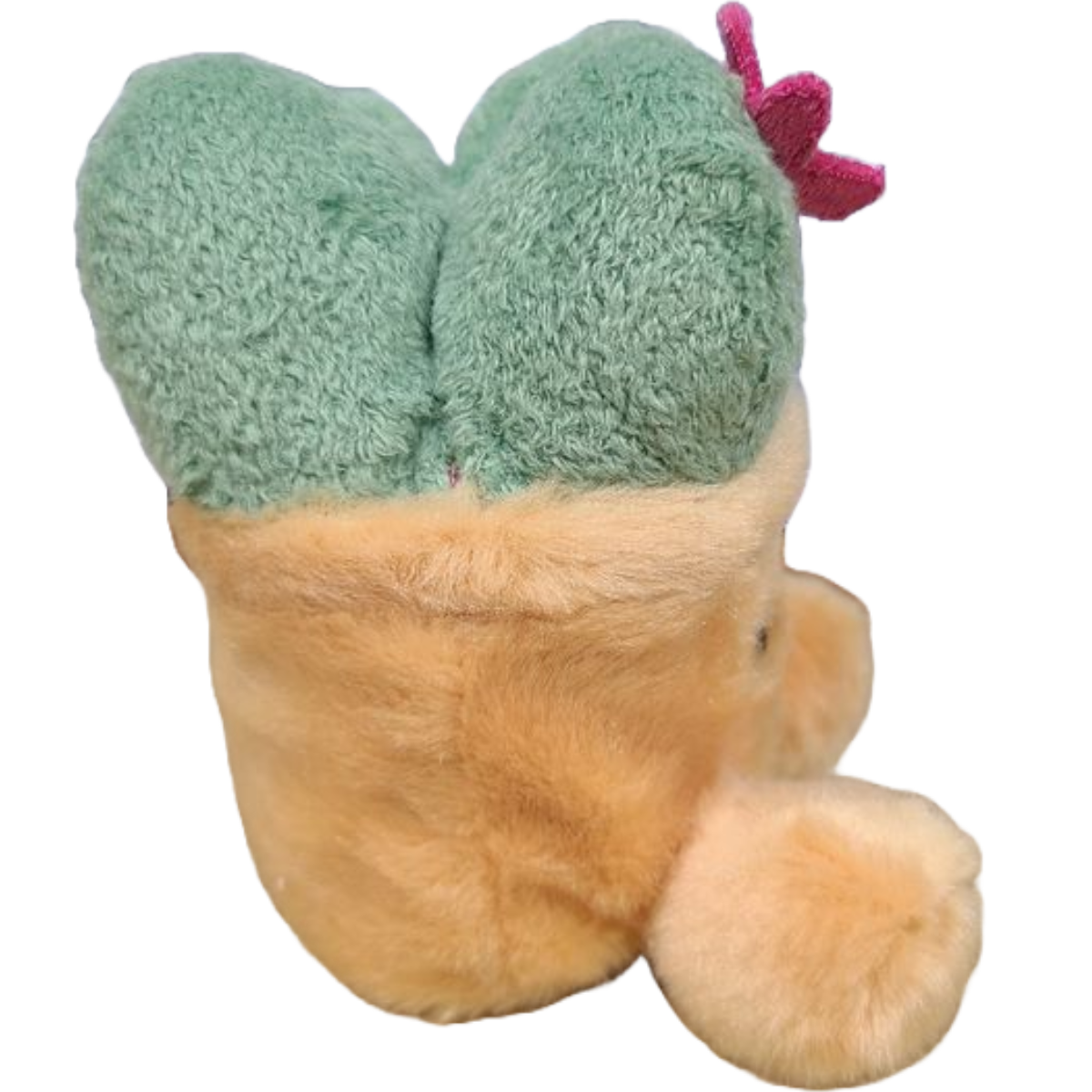 Canned Gifts - Wholesale Gag Gift/Novelty Gift - Flora the Canned Succulent Eco-Friendly Plush w/Funny Jokes5