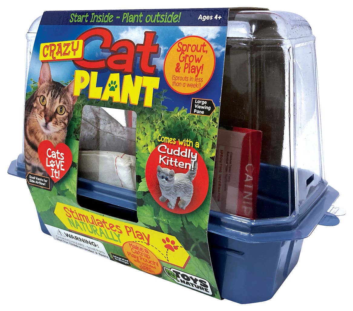Silver Circle Products - Wholesale DIY Craft Kit - Crazy Cat Plant Mini World Terrarium 3