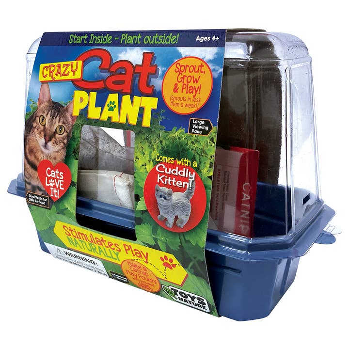 Silver Circle Products - Wholesale DIY Craft Kit - Crazy Cat Plant Mini World Terrarium 3