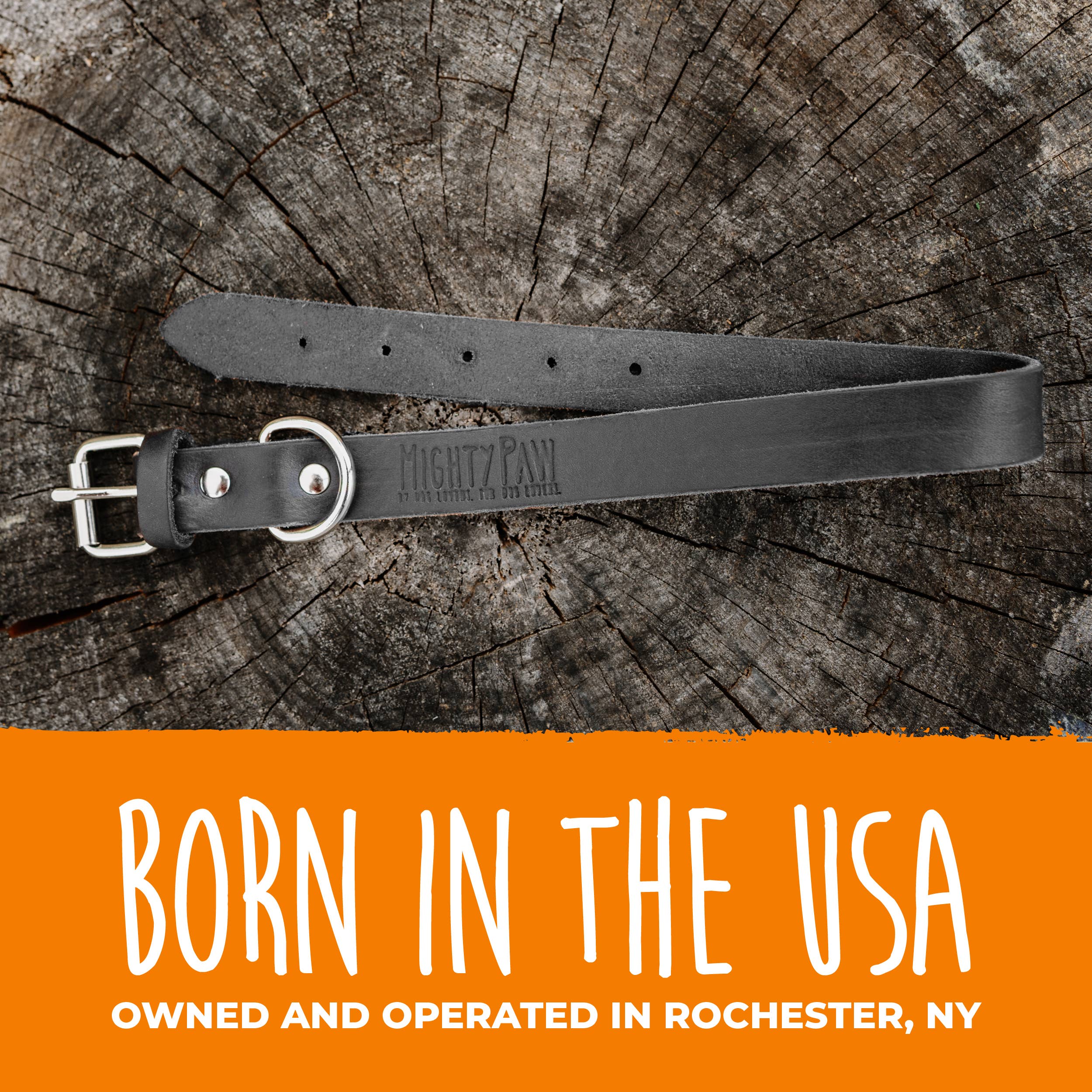 Mighty Paw - Wholesale Pet Collar - Dog - Leather Dog Collar - Distressed16