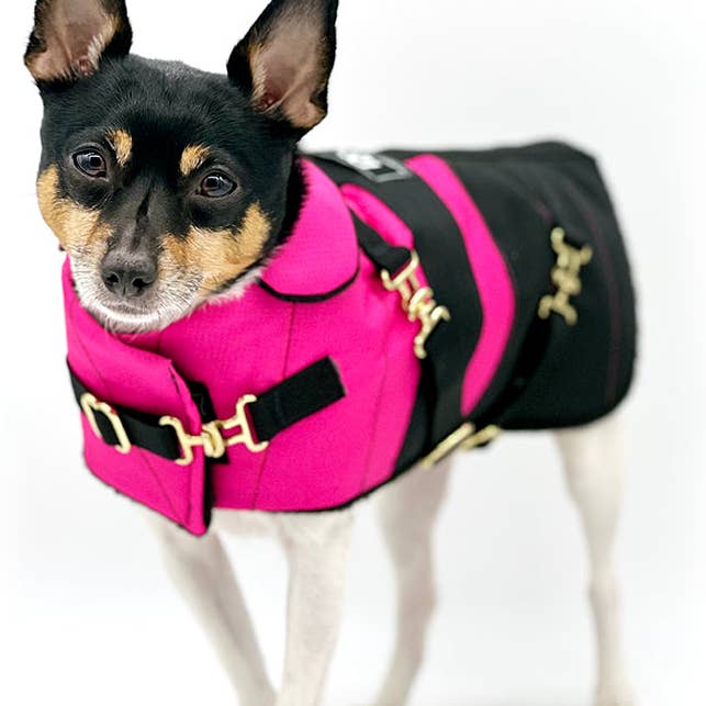 "Fun with Fuschia" - DCNY Equestrian Collection for wholesale by DoggieCoutureNY