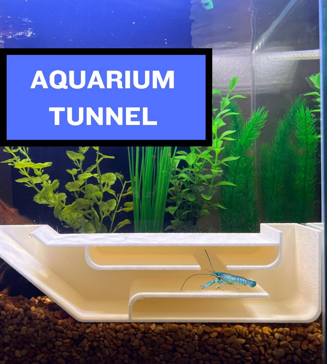 Chatelet – Großhandel Tischdeko – Chatelet REEFSHAPE Aquarium X-Large unterirdischer Tunnel | Versteck für Fische und Garnelen für Aquarien | Einzigartiger unterirdischer Aussichtstunnel | 9,75 Zoll x 2,5" | Hergestellt in den USA (XL)14