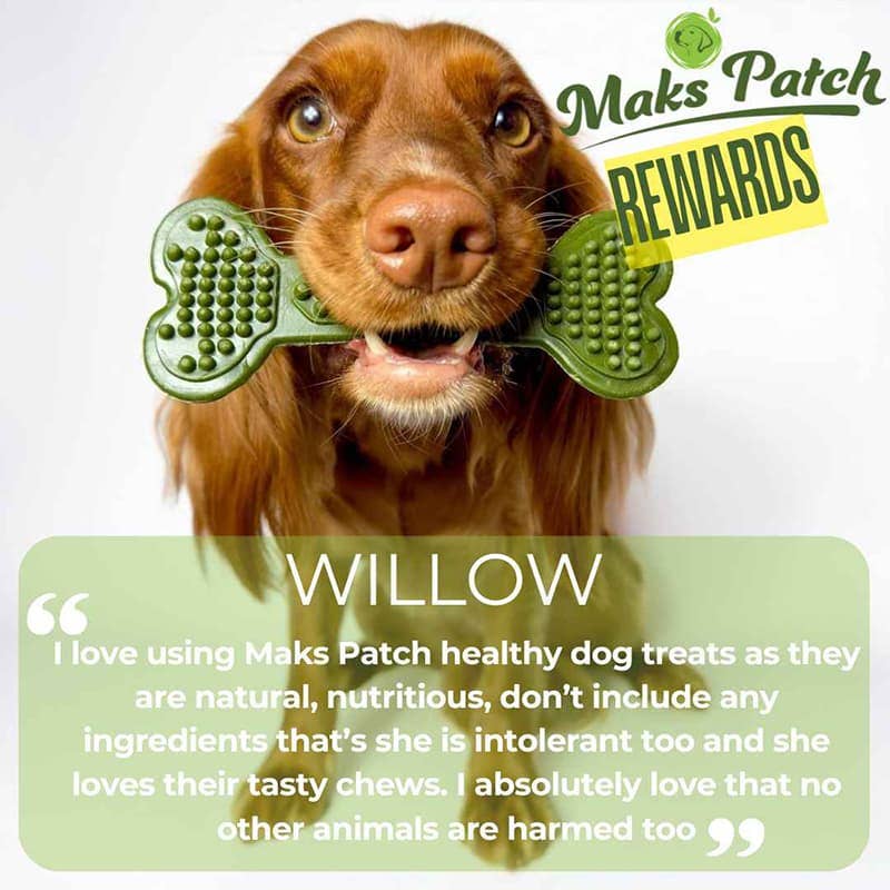 Miro & Makauri – wholesale Pet treats – Dog – Vegan Dog Chews -  the Maks Patch 'BumpiBone'2