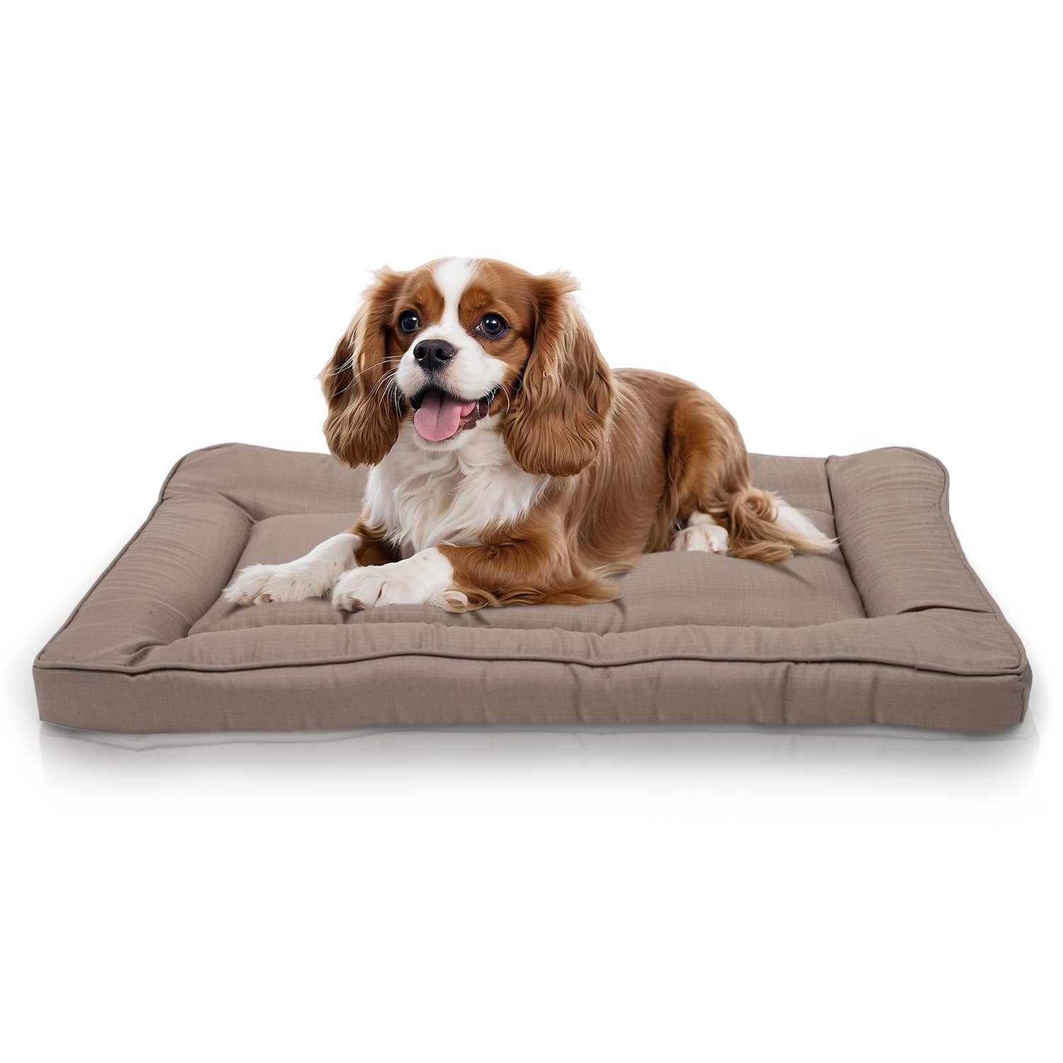 Precious Tails - Wholesale Pet Bed - Cat/Dog - Precious Tails Orthopedic Pet Bed Crate Mat23