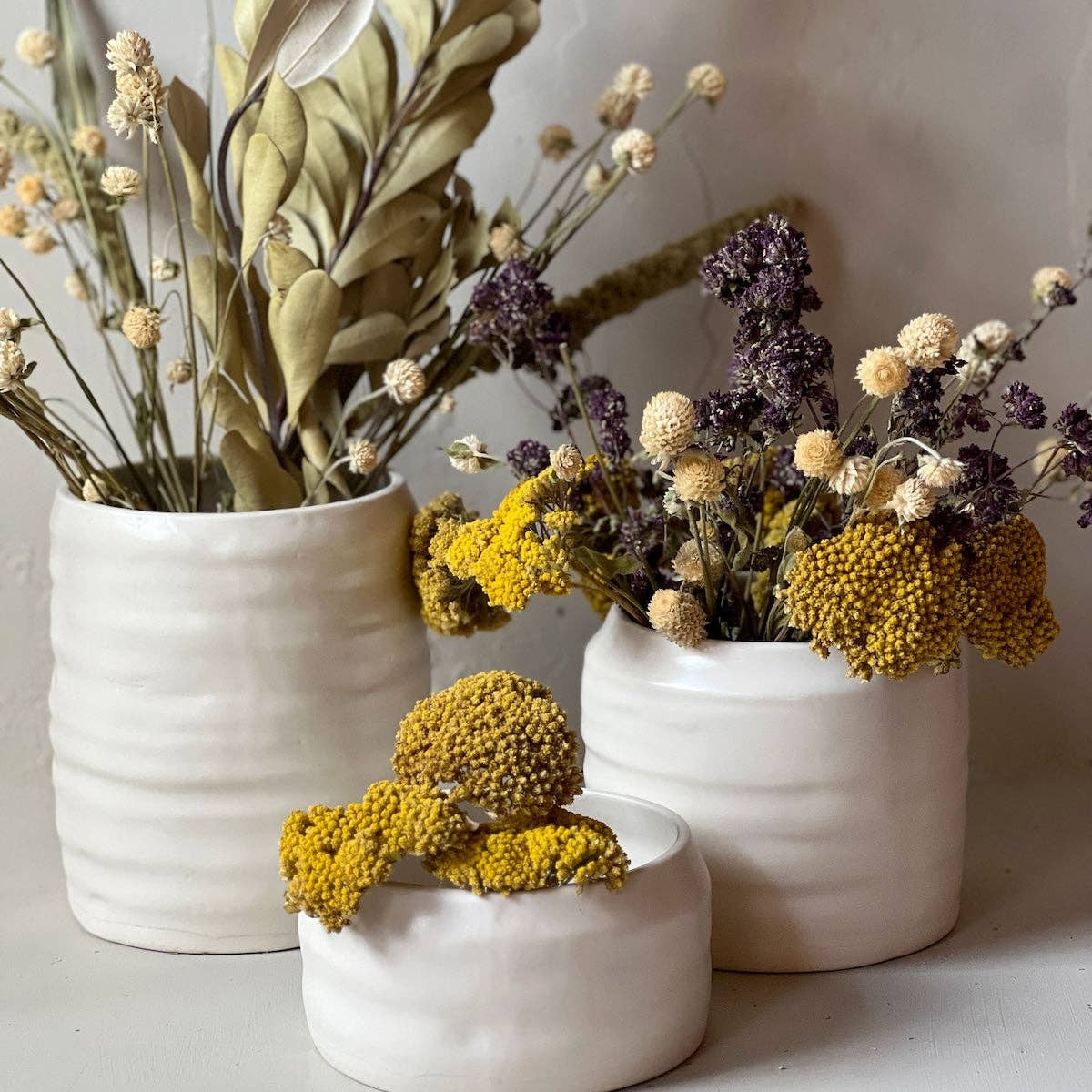 Bloomist - Wholesale Dried/Pressed Flowers - Dried Natural Yarrow10