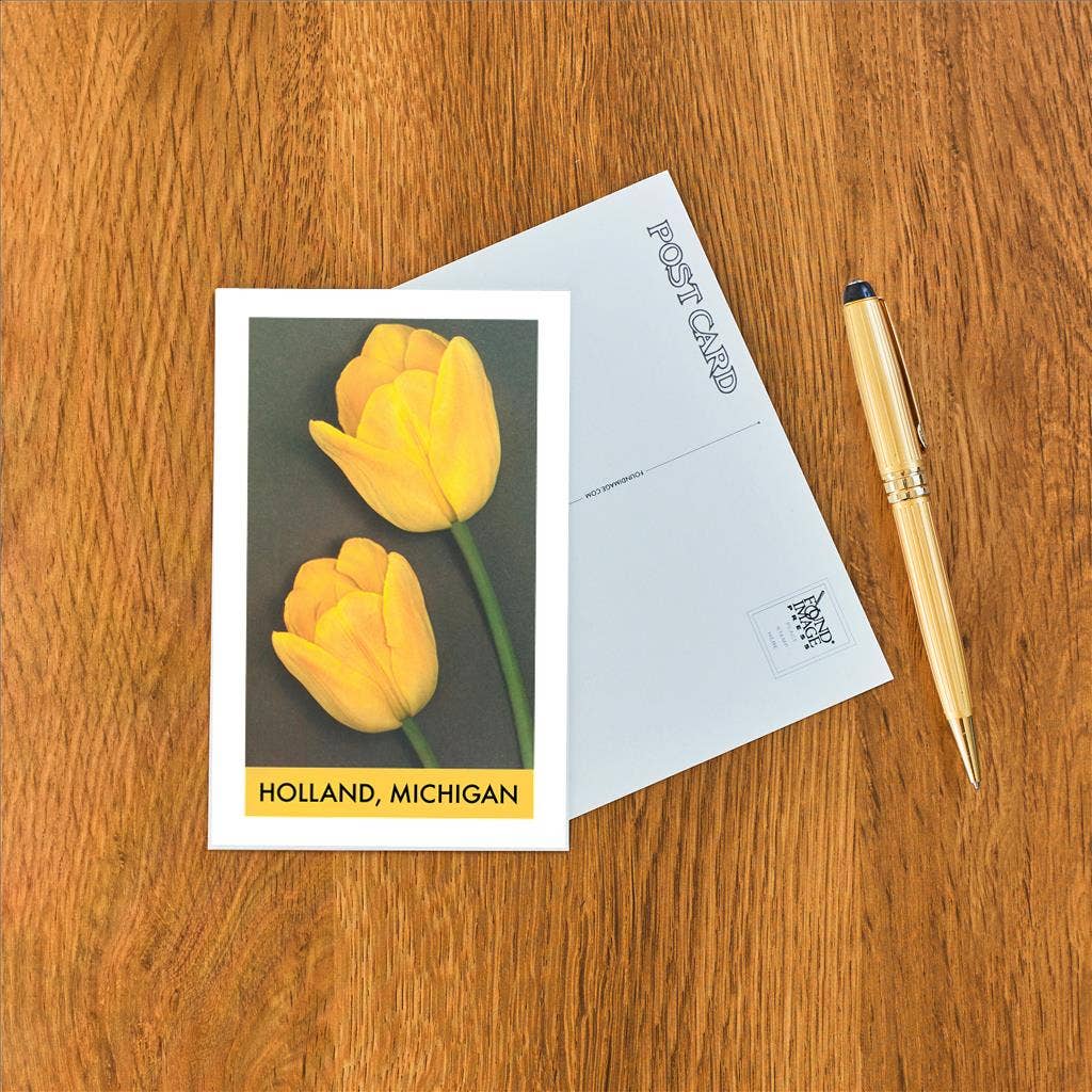Found Image Press - Wholesale Postcard - Postcard MI-527 Holland, Yellow Tulips1
