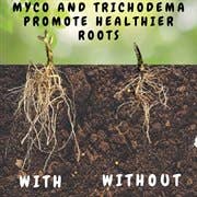 Kurated Korner - Wholesale Planting/Potting Soil - Soil Sunrise Potting Soil with Mycorrhizae4