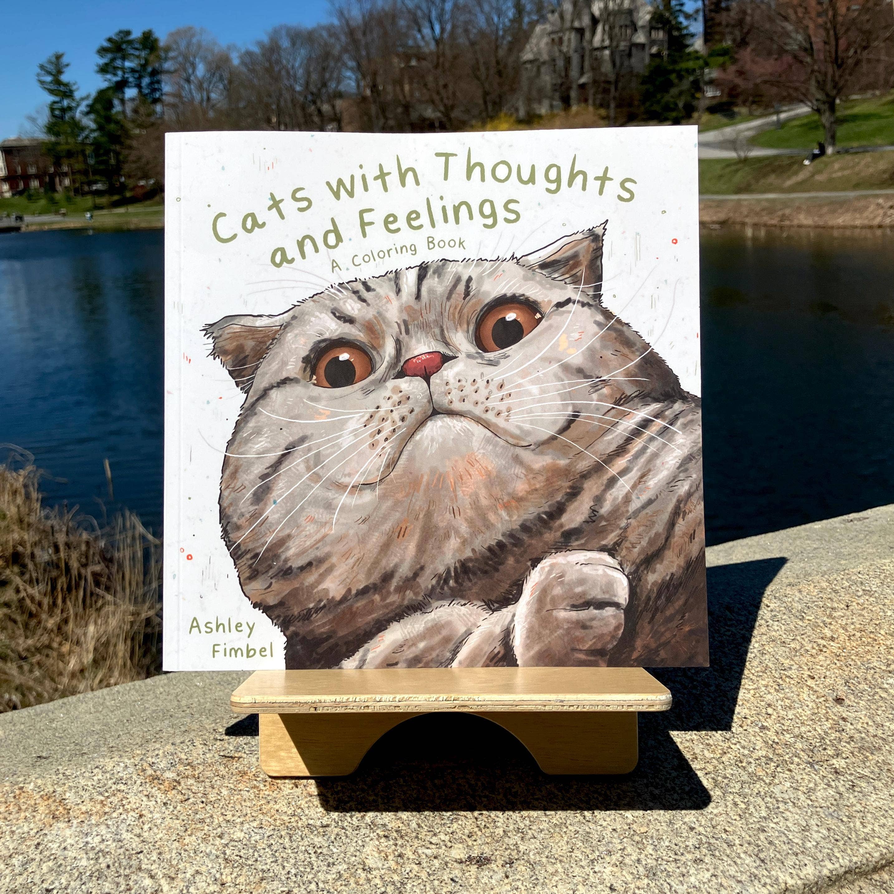 Art Fimbel - Wholesale Coloring & Activity Book - Adult - Cat Coloring Book, Cats With Thoughts And Feelings0