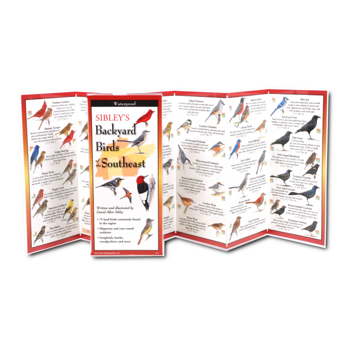 Earth Sky + Water - Wholesale Nature & Outdoors Book - Sibley's Backyard Birds of Southeast1