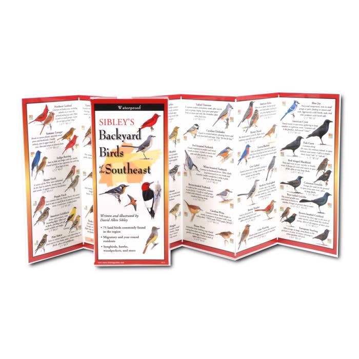 Earth Sky + Water - Wholesale Nature & Outdoors Book - Sibley's Backyard Birds of Southeast1
