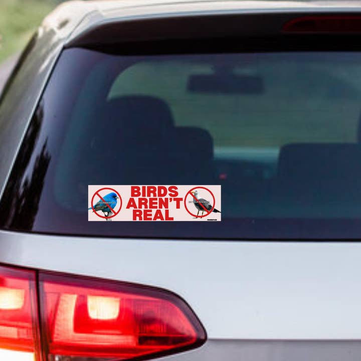 Frog Mustard Stickers – wholesale Sticker – Birds aren't real