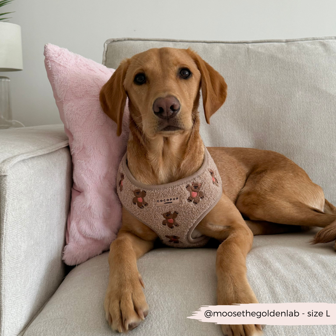 Cocopup London - Vente Harnais – chien - Harnais réglable pour chien avec oursons brodés Cocopup London11