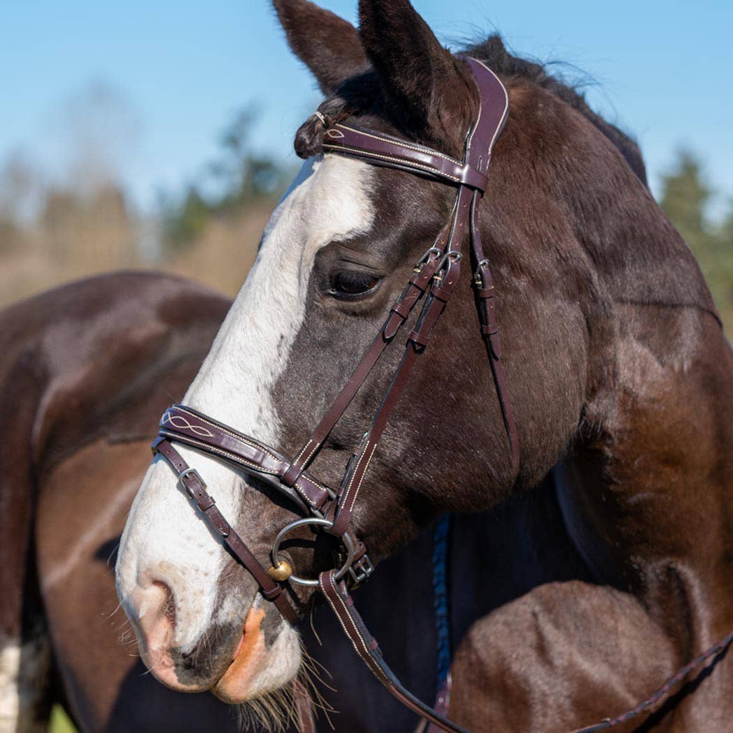 Grewal Equestrian – Großhandel Reitausrüstung – Munich - Ausgefallenes gepolstertes, gepolstertes Flash-Pferdezaum aus Leder1