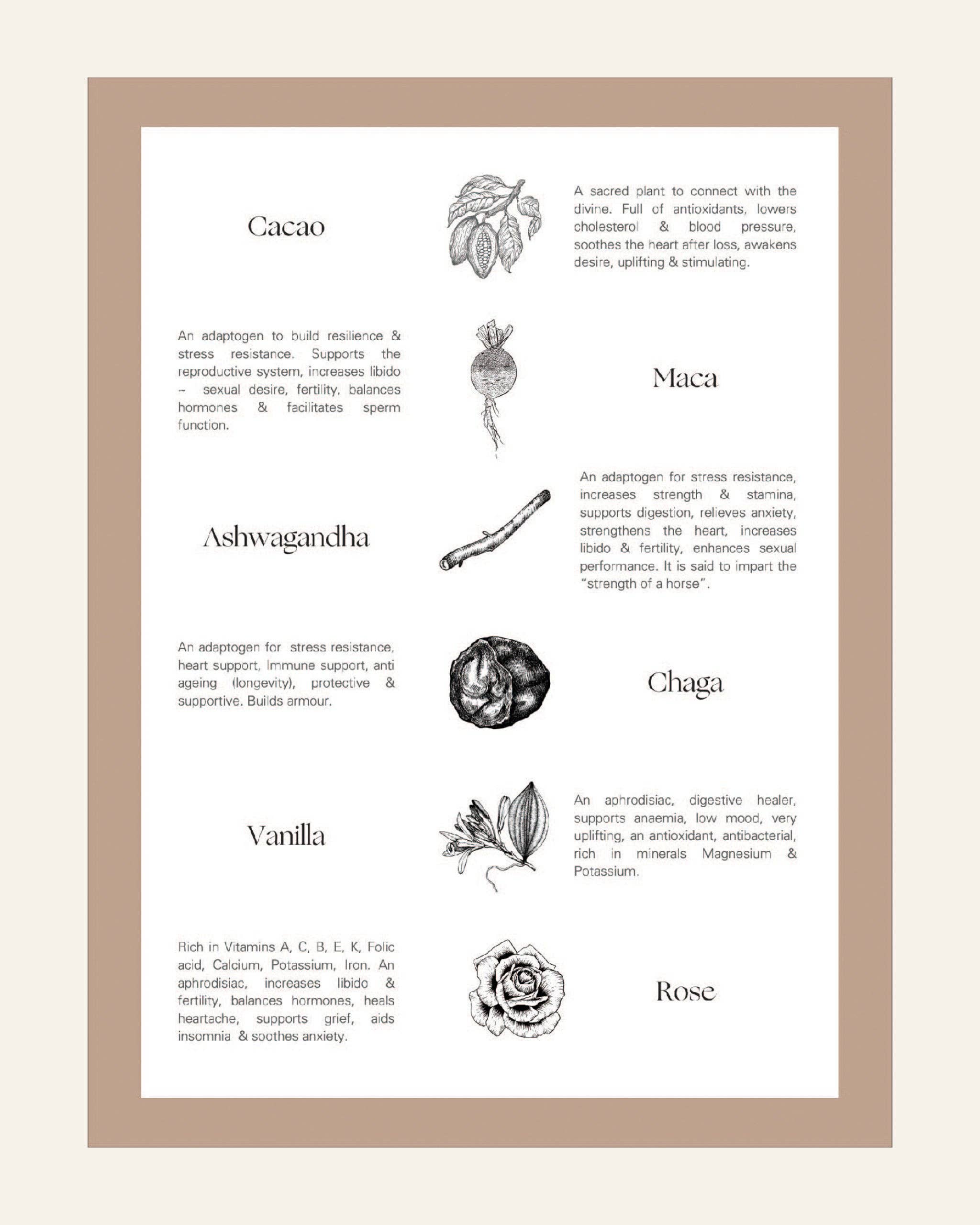 Palm of Feronia – wholesale Hot cocoa mix/kit – Aphrodite Cacao – adaptogenic cacao for love & vitality3