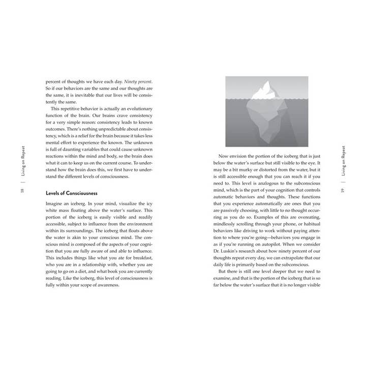 Union Square & Co. - Wholesale Book - Adult - Shadow Work by Danielle Massi