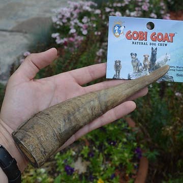 QT Dog, LLC - Wholesale Pet Chew Toy - Dog - Gobi Goat Horn7