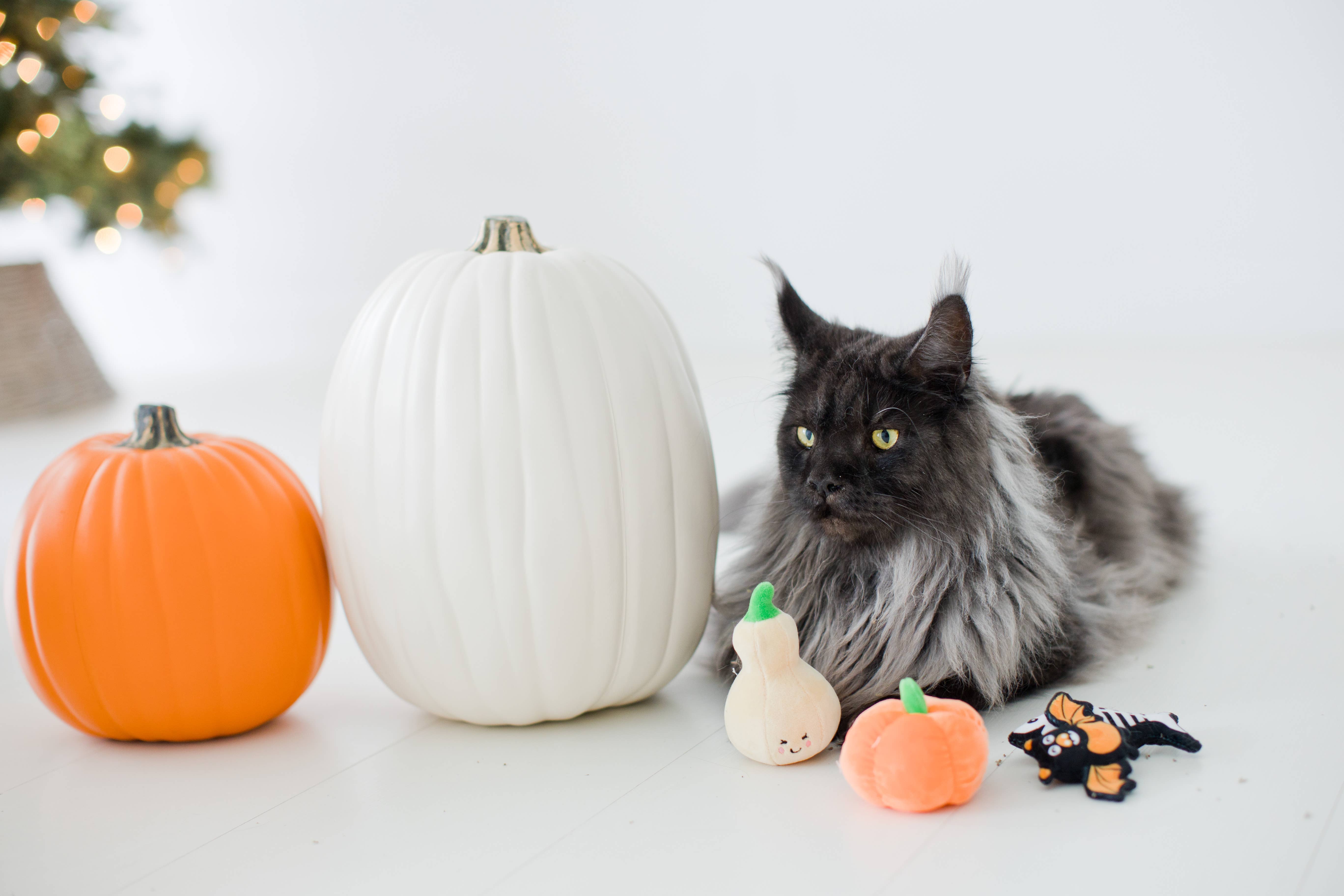 Pearhead - Wholesale Pet Toy Set - Cat - Gourds Fall Cat Toys, Set of 25
