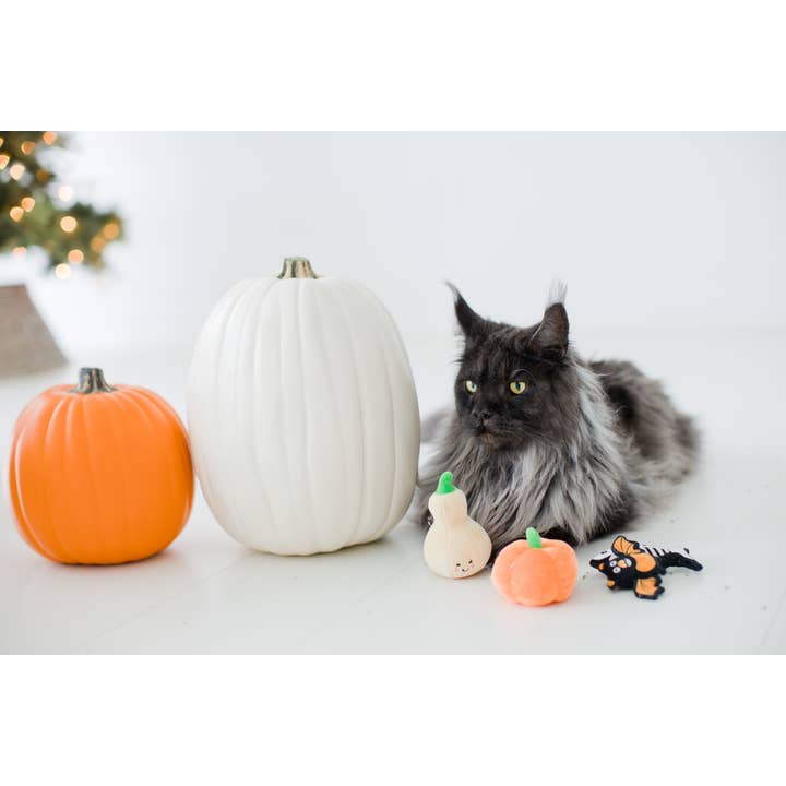 Pearhead - Wholesale Pet Toy Set - Cat - Gourds Fall Cat Toys, Set of 25
